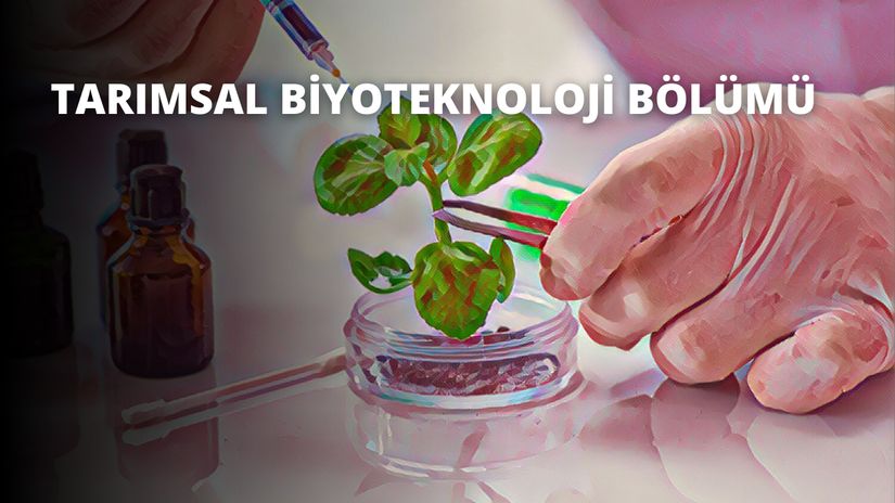 Bitki ıslahı endüstriyel tarımsal biyoteknoloji