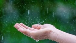 Yağmur Damlaları ve Momentum