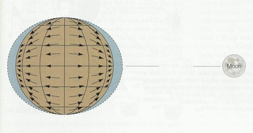 Tipik bir gelgit şeması. Ay'ın konumu ve kütleçekim etkisi nedeniyle Dünya'nın iki ucunda da gelgitin "med" evresi oluşur.