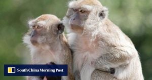 Lost And Found: The Great South Carolina Monkey Escape