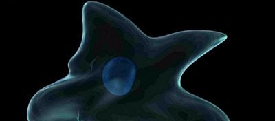 Hücreler Neden Bu Kadar Küçüktür? Küçük Olmak Zorundalar mı?