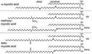 Newly Discovered Parasite Uncovers Unique Interactions With Bacterial Hosts