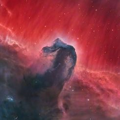 The Horsehead Nebula