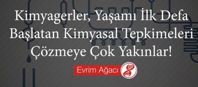 Kimyagerler, Yaşamı İlk Defa Başlatan Kimyasal Tepkimeleri Çözmeye Çok Yakınlar!