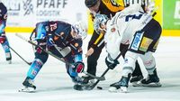 Dresden oder DEG? Ravensburg hat es beim Showdown in der Hand