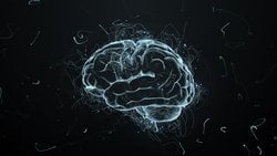 Beyninizi Sağlıklı Tutmanın 3 Yolu!