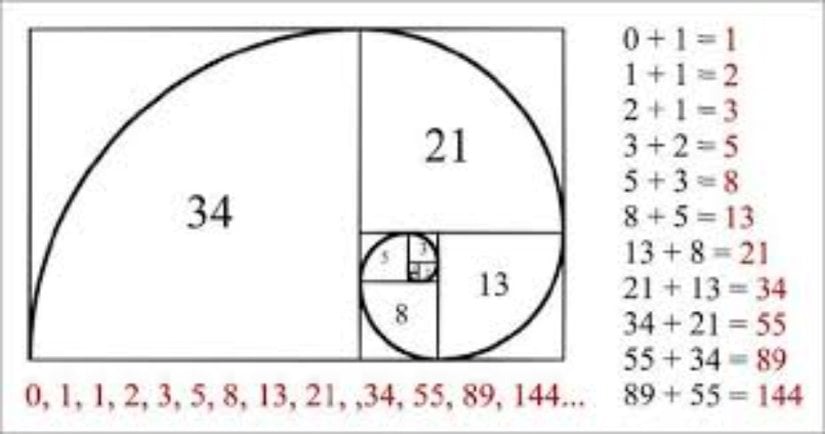 Leonardo Fibonacci İtalya’nın Pisa şehrinde doğmuş olan İtalyan bir matematikçidir, bu nedenle Pisalı Leonardo olarak da anılmaktadır. Fibonacci bir problemi araştırırken bu sayıları buluyor ve kendi adını veriyor.    0, 1, 1, 2, 3, 5, 8, 13, 21, 34, 55, 89, 144, 233, 377, 610, 987.. dizisi Fibonacci dizisi olarak geçiyor. Fibonacci dizisinin özelliği kendinden önceki iki ardışık sayının toplamının kenisinden sonraki sayıya eşit olmasıdır.    Dizilim içinde bir sayıyı kendisinden önce gelen sayıya bölerek ilerlersek ulaşacağımız sonuç 1,618 rakamına sürekli yaklaşacak şekilde oluşacaktır.    Peki nedir Fibonacci Sayılarını yüzyıllardır bu kadar önemli yapan?  1. Altın oran sayısının çok önemli bir sayı olması,  2. Dizinin daha küçük elemanlarının doğada karşımıza çıkması,  3. Sayıların sayılar teorisinde farklı birçok kullanımı olması Fibonacci sayılarını oldukça önemli yapmıştır.    Fibonacci Sayıları ve Altın Oran Nedir?Şimdi çoğu insan için karmaşık gelen bu 3 maddeyi biraz daha anlaşılır bir dille ifade edip açıklayalım;    1. Altın Oran’ı eski mısırlılar ve yunanlılar bulmuş ve daha çok mimaride kullanmışlardır, basit anlamıyla altın oran; bütünün parçaları arasında olan geometrik ve sayısal bir oran bağlantısıdır.    Bu tanım akıllara şu soruyu getirir; nedir altın oran ve fibonacci arasındaki bağlantı?    Fibonacci dizisindeki ardışık 2 sayının oranı sayılar büyüdükçe Altın Oran’a (1,618) yaklaşır.