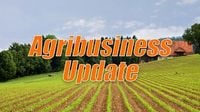 Almond Crop Challenges and Farmers Call for End to Shutdown and Labor Fix - AG INFORMATION NETWORK OF THE WEST