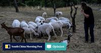 Macroscope | Why world must heed boy crying wolf over risk of financial crisis
