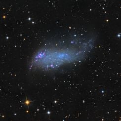 IC 2574: Coddington's Nebula