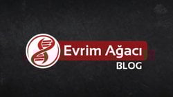 O Paylaşır Ben Anlam Yüklerim