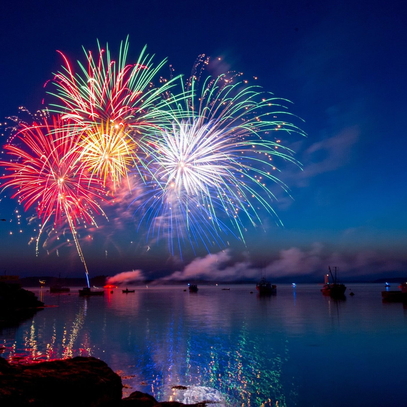 Evrim Ağacı ile Bilime Dair Her Şey!