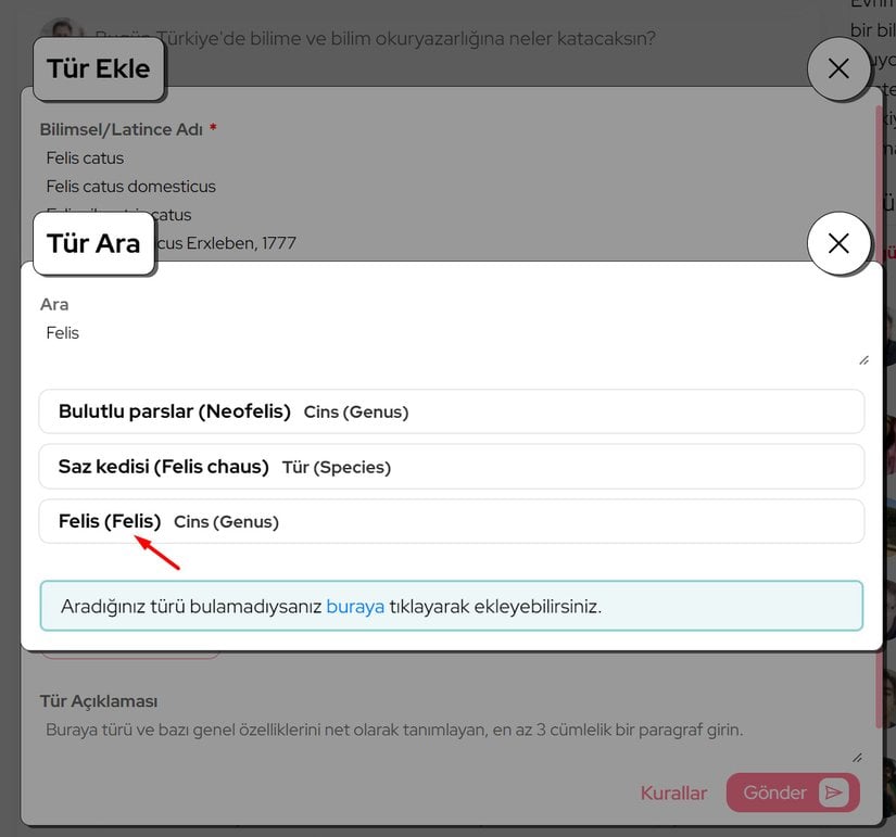 Felis catus'u ilk girmeye çalıştığımızda arama sonuçlarında Felis cinsi çıkmıyordu. Ama artık üst taksonu eklediğimiz için, arama sonuçlarımız da buna göre güncellenmektedir. Artık Felis'i seçebiliriz.