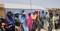 Nigeria's military says its airstrikes killed 35 Islamic militants in Borno state