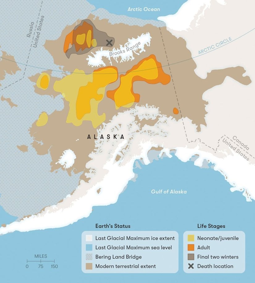Bu harita  Kik’in hayatının farklı dönemlerinde gezindiği yerleri belirtir. Sarı alanlar, Kik'in gençlik döneminde bulunduğu bölgeleri; turuncu alanlar yetişkinlik dönemini; gri alan ise hayatının son iki yılını simgeler.