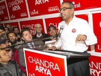 Liberals revoke Nepean MP's candidacy in upcoming federal election