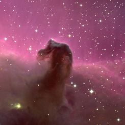 The Horsehead Nebula