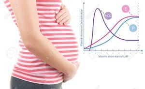 Dynamic Changes Of Estrogen And Progesterone Metabolites During Pregnancy