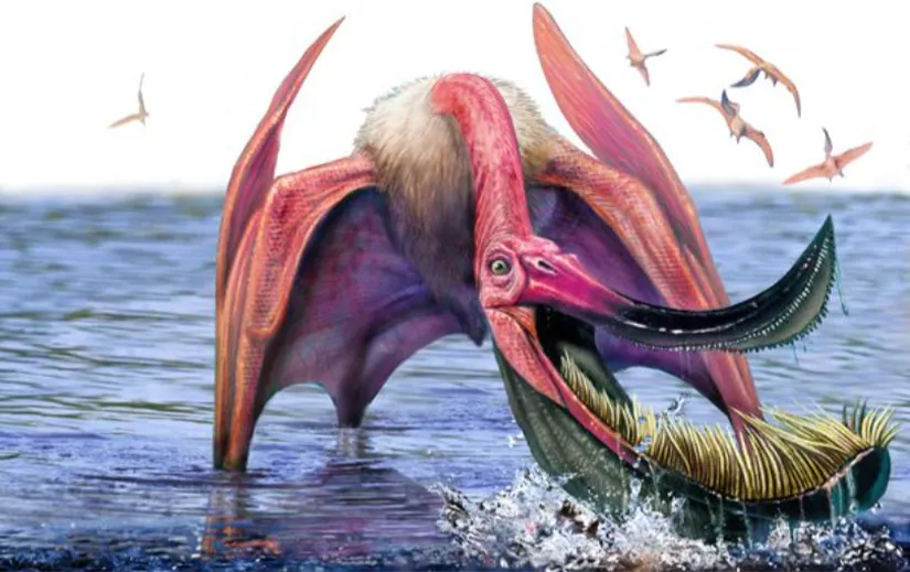 Pterodaustro çizimi.