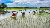 AI-based monsoon forecasts shared with farmers weeks ahead of rains - The Statesman