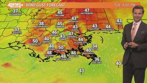 High Winds And Storms Disrupt Mardi Gras Celebrations