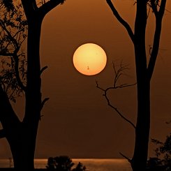 Batan Güneş Üzerindeki AR 3664