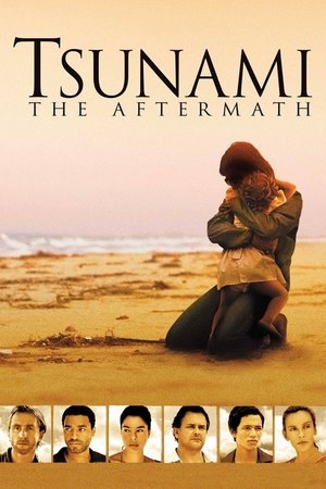 Tsunami: Felaketin Ardından