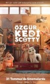 Özgür Kedi Scotty