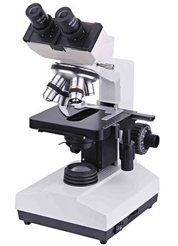 1000 Dolar Bütçe İle Alınabilecek En İyi Mikroskoplar Nelerdir?