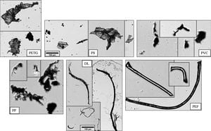 New Study Reveals Toxic Effects Of Polyethylene Terephthalate Microplastics