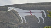 Police investigate England flag on white horse