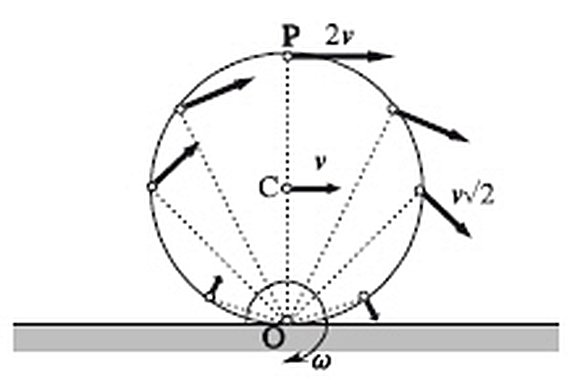 Kaymadan yuvarlanan bir cismin farklı noktalarındaki hız vektörleri