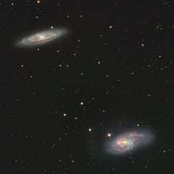 M65 and M66