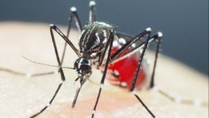 Ho Chi Minh City Faces Early Dengue Fever Warning