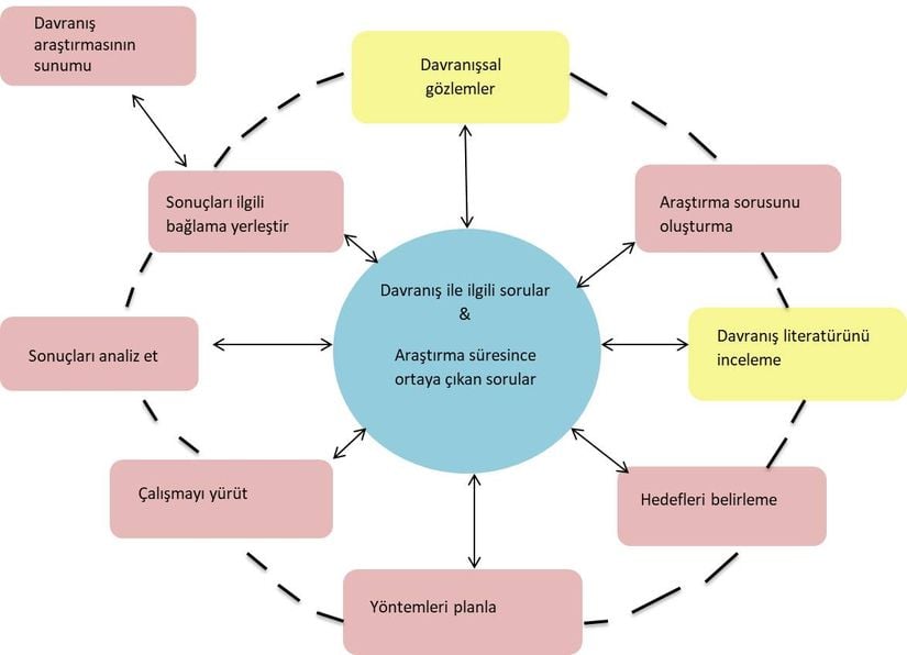 Görsel 7. Araştırmanın basit gözlemsel/tanımlayıcı çalışmalardan hipotez test etme deneylerine kadar temel faaliyetlerini gösteren davranışsal araştırma sürecinin bir modeli. Model, araştırmada takip edilecek yolun olası giriş noktalarını sarı kutularda göstermektedir: Araştırma, hayvan davranışının yaşam alanı ya da laboratuvar gözlemlerinden yola çıkılarak ve literatürün derleme makalesi ile meta analizler şeklinde özetlenmesiyle başlatılabilir. Araştırma faaliyetleri yinelemeli ve dinamiktir, çeşitli zamanlarda tüm kutulardan birkaç kere geçilebilir. Bilimsel yöntemin merkezine (sorulara) tekrar tekrar yapılan geri dönüşler araştırmacıların gözlemlerini, araştırma yöntemlerini ve toplanan veriyi işlemelerini ve araştırma sonuçlarını sunmanın en iyi yolunu bulmalarını sağlar (mavi daire). Robinson'ın 2004 çalışmasından uyarlanmıştır.