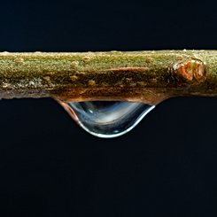  A Little Drop of Galaxy 