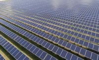 Waaree Energies Secures Major 122MW Solar Module Order, Strengthening India’s Clean Energy Transition