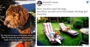 Pets Bring Joy And Laughter Through Viral Tweets