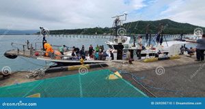 Fishing Boat Tragedy Claims Lives Off South Korea's Coast