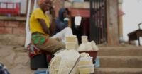 Nigeria bans exports of raw shea nuts used for cosmetic products to help grow its economy