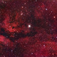 Central Cygnus