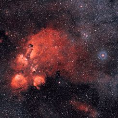 Wide Angle: The Cat's Paw Nebula