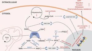 Machine Learning Identifies Key Genes Implicated In Liver Cancer Prognosis