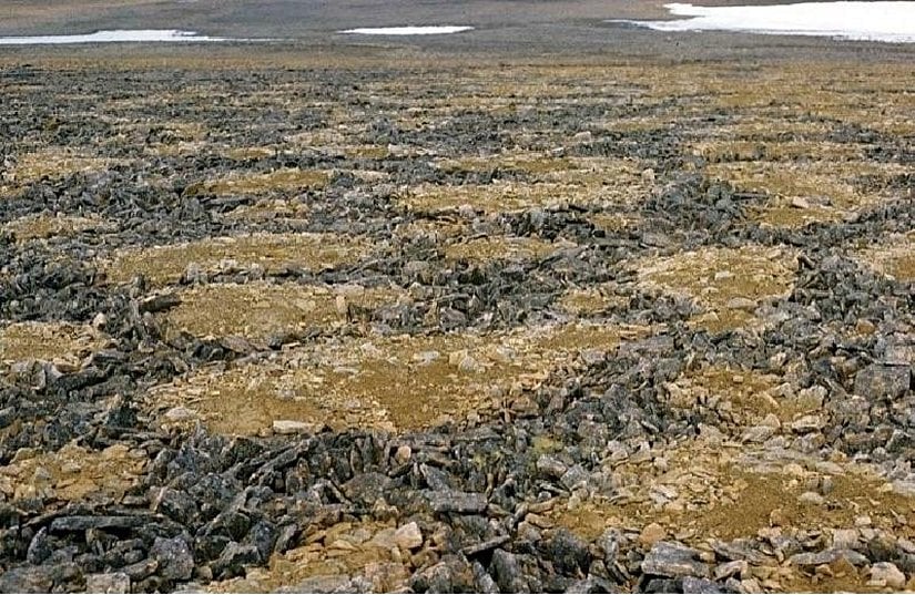 Poligonal topraklar (taş poligonları). İri malzeme kenarda toplanırken daha ince malzemeler merkezdedir . Bu alanlar, fotoğrafta görüldüğü gibi bitki örtüsü açısından fakirdir.