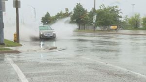 Windsor-Essex Braces For Rainy Weekend Ahead