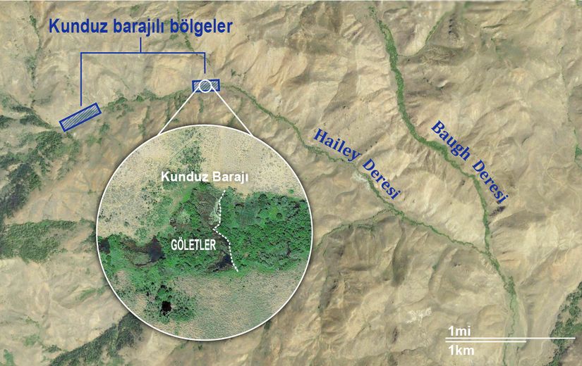 Yangından Önce Uydudan Çekilmiş Bir Fotoğraf