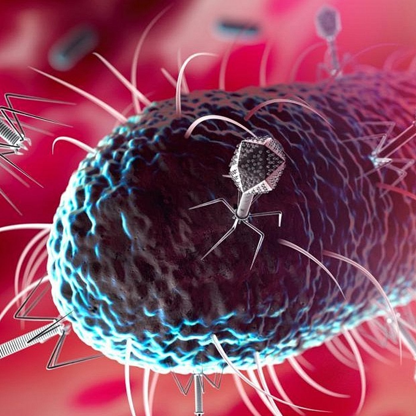 Bakteri ile Virüs Arasındaki Farklar Nelerdir?