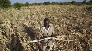 Emergency Aid Addresses Drought-Stricken Moldovan Farmers