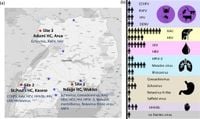 Uncovering the viral aetiology of undiagnosed acute febrile illness in Uganda using metagenomic sequencing - Nature Communications