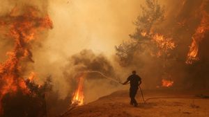 Wildfires Rage Across Greece Leaving Communities Devastated